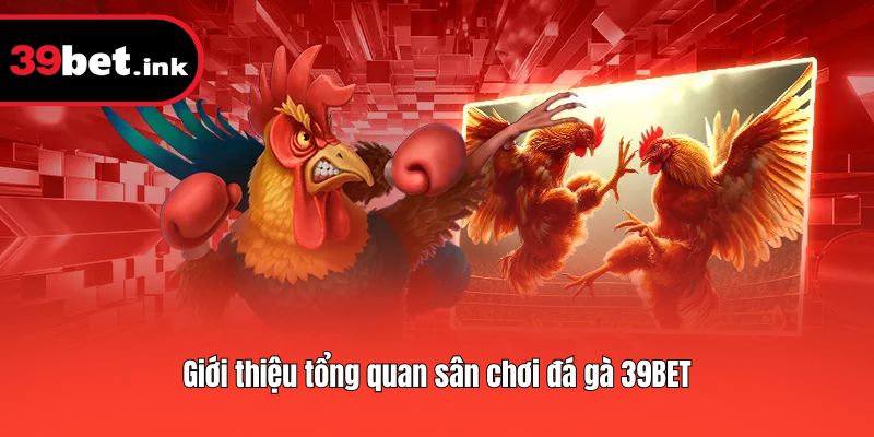 Giới thiệu tổng quan sân chơi đá gà 39BET