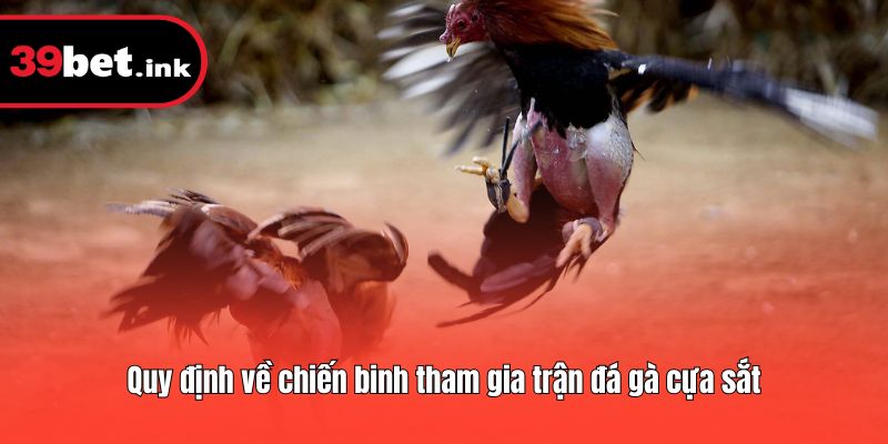 Quy định về chiến binh tham gia trận đá gà cựa sắt